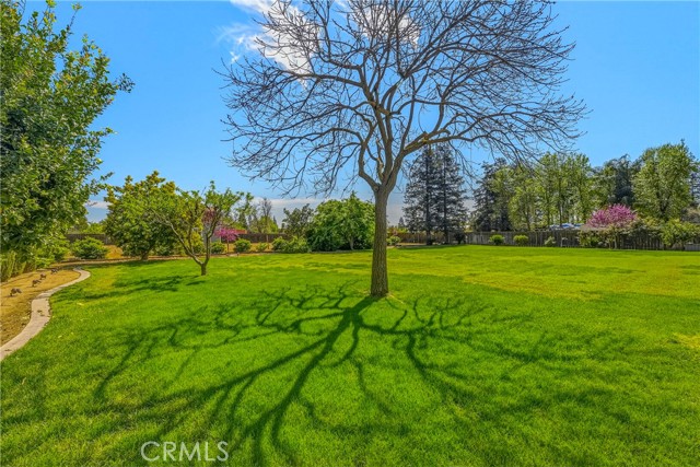 Detail Gallery Image 54 of 64 For 2826 Clydesdale Ave, Atwater,  CA 95301 - 4 Beds | 2/1 Baths