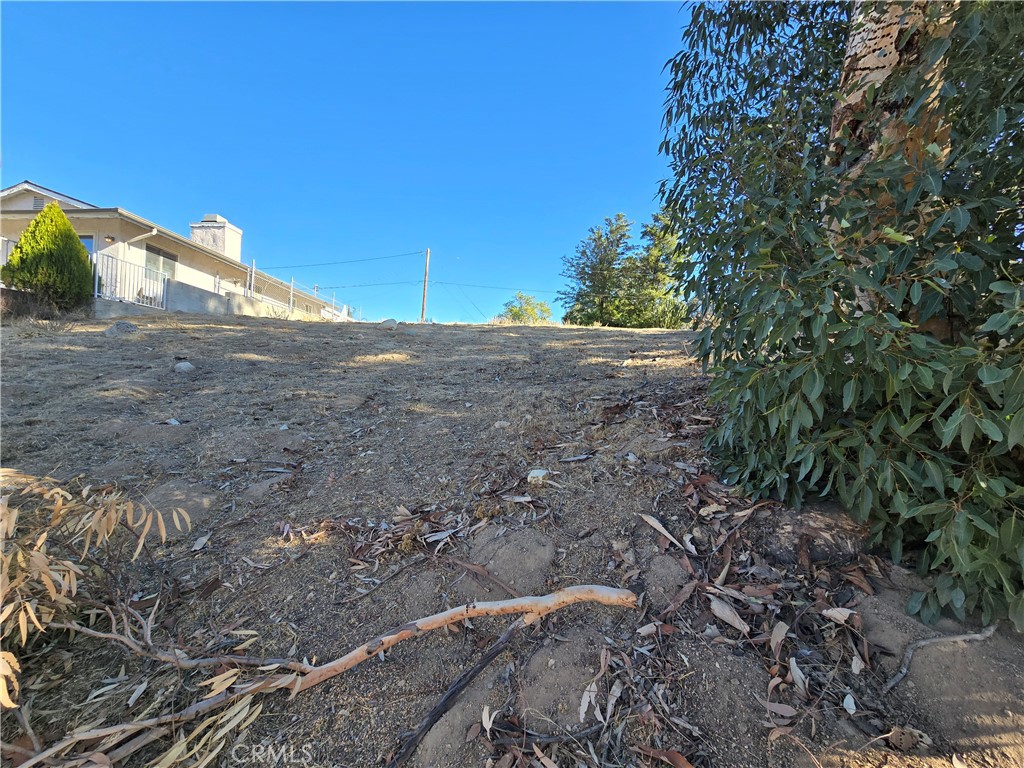 MLS #SW25013688 img 4