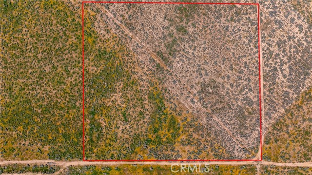 Front Image Thumbnail for CRSW26042889