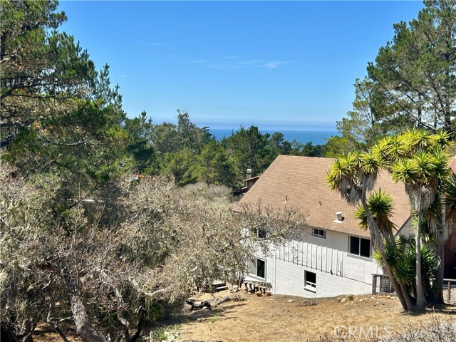1401 Nault Avenue, Cambria CA: https://media.crmls.org/medias/1d195344-20e6-431c-9049-73c8db0ab3b6.jpg