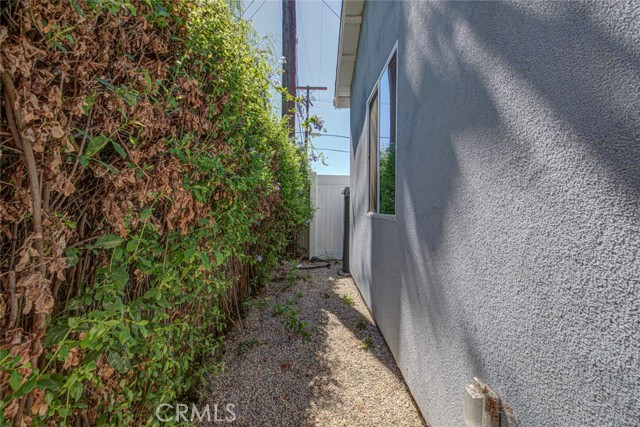 6206 Camellia photo 41