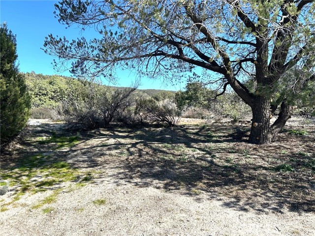 Detail Gallery Image 7 of 29 For 0 Oak Rd, Anza,  CA 92539 - – Beds | – Baths