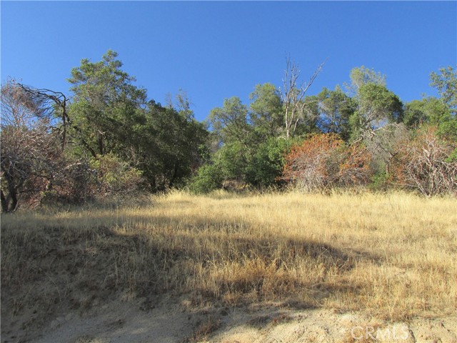 Detail Gallery Image 20 of 54 For 2 Ac Old Oaks Ct, North Fork,  CA 93643 - – Beds | – Baths