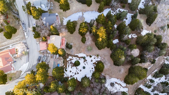 Detail Gallery Image 27 of 31 For 2011 Nob Hill, Running Springs,  CA 92382 - 3 Beds | 2/1 Baths