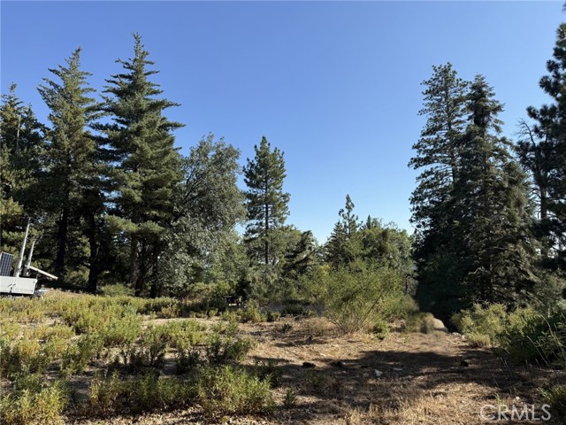 0 Ca-38, Angelus Oaks CA: https://media.crmls.org/medias/1d207abb-292e-4293-aace-d4152fcffb4d.jpg