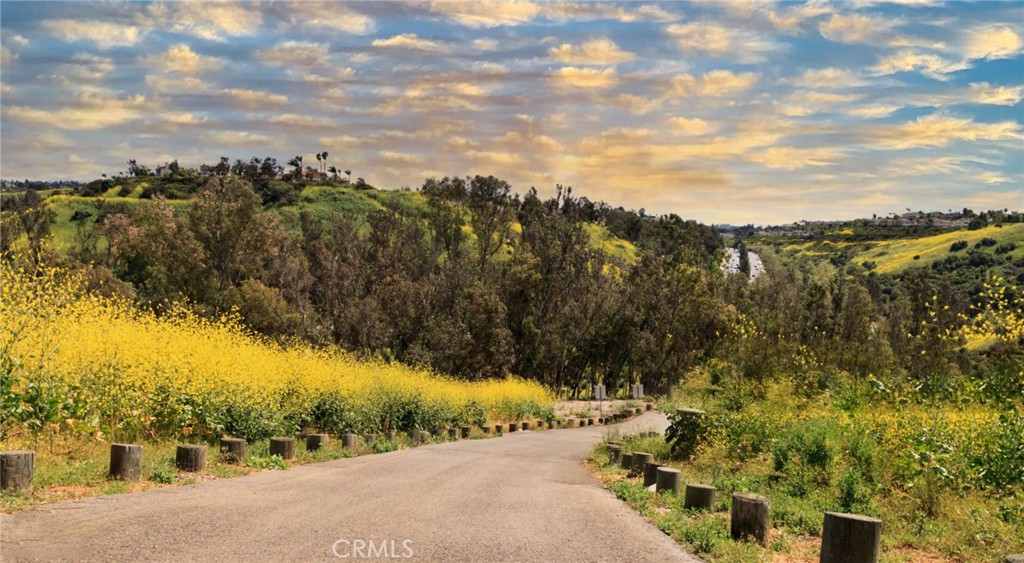 MLS #OC25250506 image #44