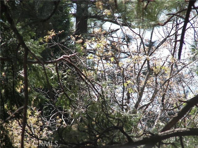 Detail Gallery Image 68 of 73 For 21636 Sawpit Canyon, Cedarpines Park,  CA 92322 - 3 Beds | 2 Baths