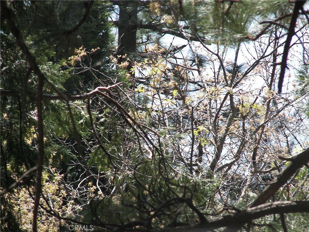 https://media.crmls.org/medias/1d246524-8a67-48aa-8d8a-9669c88ac727.jpg?preset=X-Large