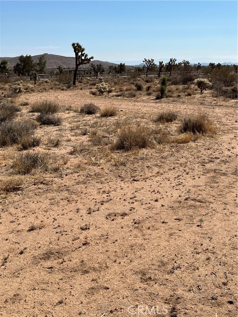 Detail Gallery Image 10 of 11 For 2801 Avalon Ave, Yucca Valley,  CA 92284 - – Beds | – Baths