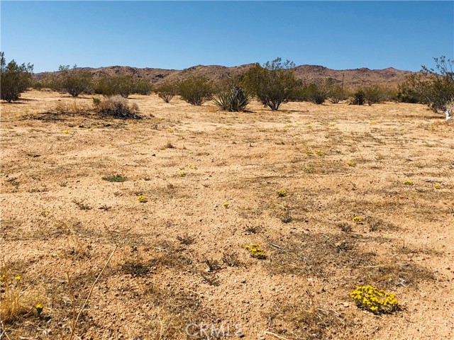 Detail Gallery Image 3 of 10 For 2 Geronimo Trl, Landers,  CA 92285 - – Beds | – Baths