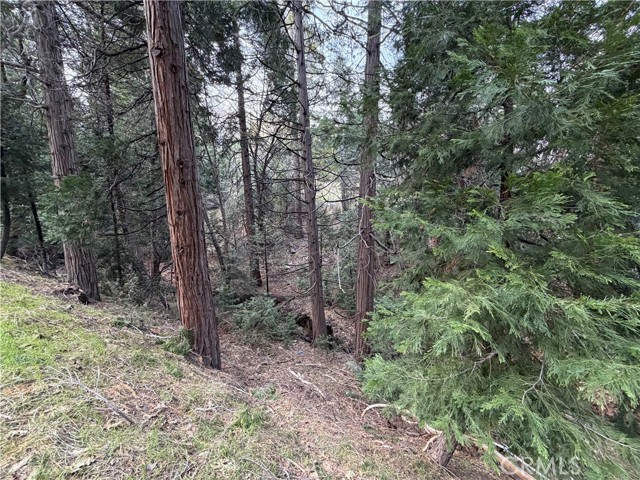 Detail Gallery Image 5 of 12 For 0 Hook Creek, Cedar Glen,  CA 92321 - – Beds | – Baths