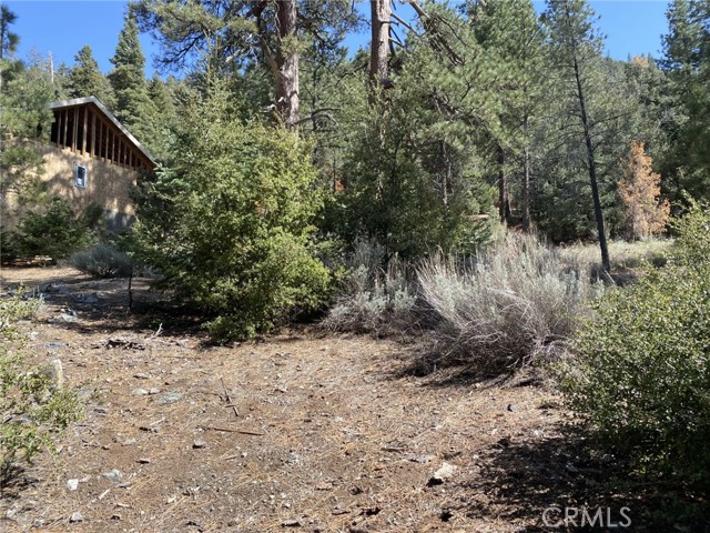 Detail Gallery Image 4 of 6 For 15028 Chestnut Ct, –,  CA 93222 - – Beds | – Baths