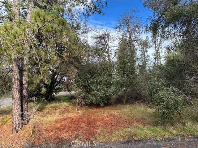 Detail Gallery Image 10 of 11 For 0 2.01 Ac Deer Path Cir, Coarsegold,  CA 93614 - – Beds | – Baths