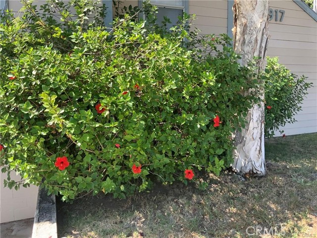 Detail Gallery Image 42 of 45 For 9917 Independence Ave #C,  Chatsworth,  CA 91311 - 2 Beds | 2 Baths