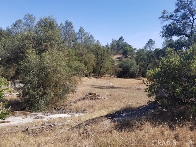 857 Deep Forest Ct, Coarsegold, CA, 93614