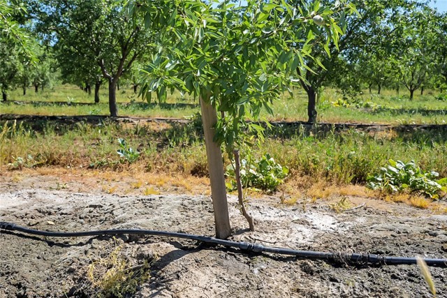 Image 3 of 21 For 0 Buchanan Hollow Road