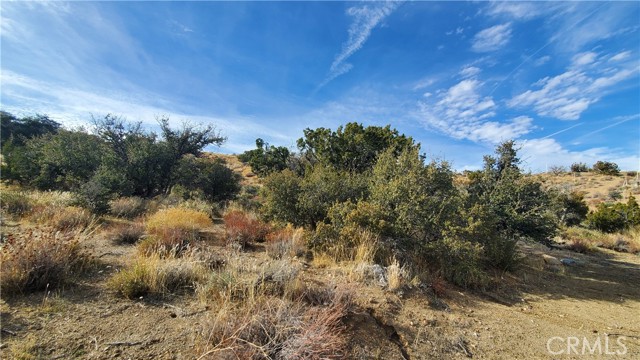 MLS #SR25242278 image #37