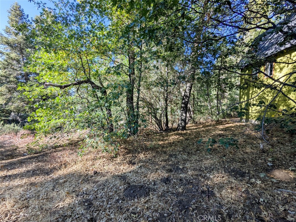 https://media.crmls.org/medias/1d489092-b4f0-4436-8696-793ab6cc3989.jpg?preset=X-Large