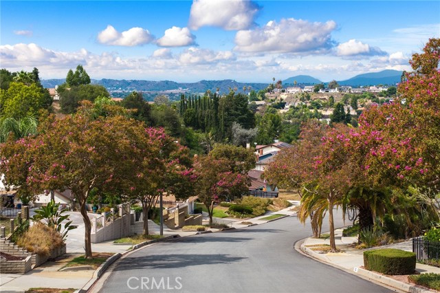 529 Bregante, Diamond Bar CA: https://media.crmls.org/medias/1d4c1014-3c07-4ae4-83ff-7d2375e98e8f.jpg