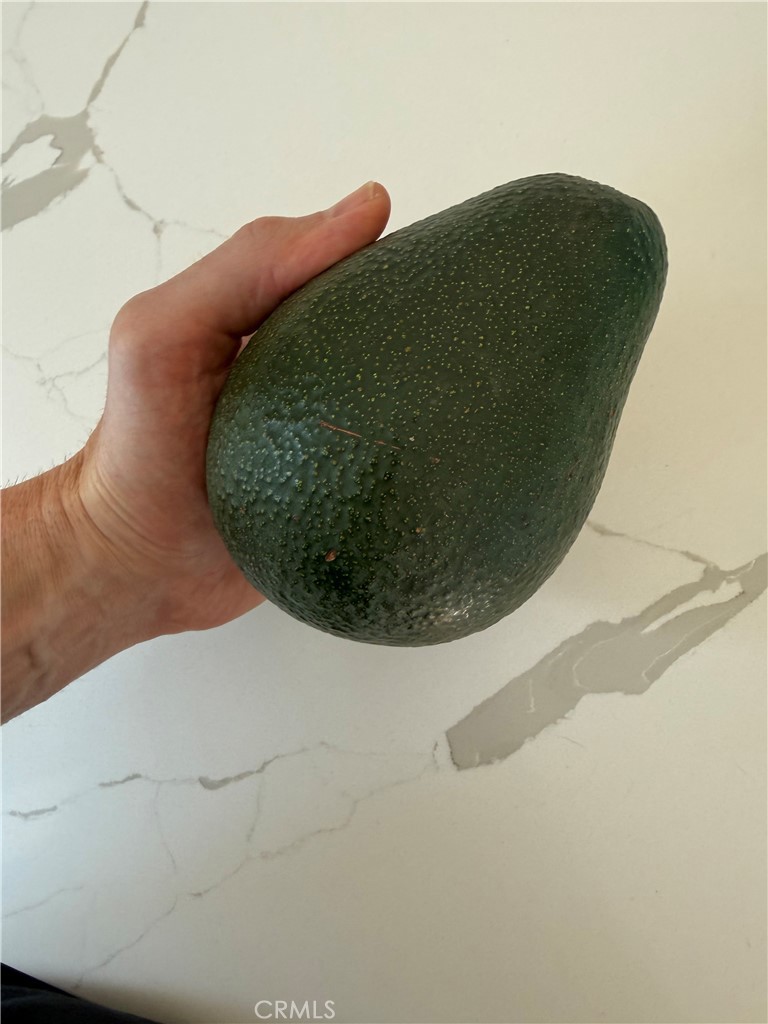 https://media.crmls.org/medias/1d4dd71d-267a-413d-9827-6d1fa8f09e8a.jpg?preset=X-Large