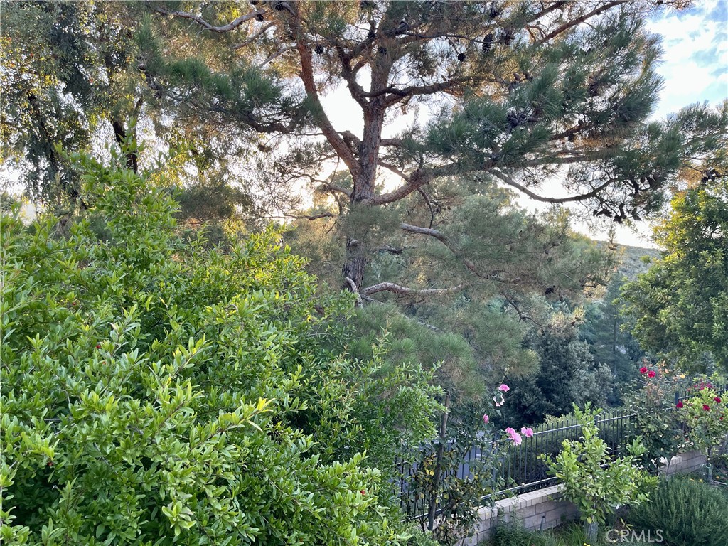 https://media.crmls.org/medias/1d510536-5339-4543-8c6c-ecdfb82adeba.jpg?preset=X-Large
