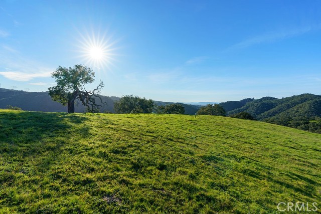 Detail Gallery Image 12 of 29 For 518 Bella Terra Ct, San Luis Obispo,  CA 93401 - – Beds | – Baths