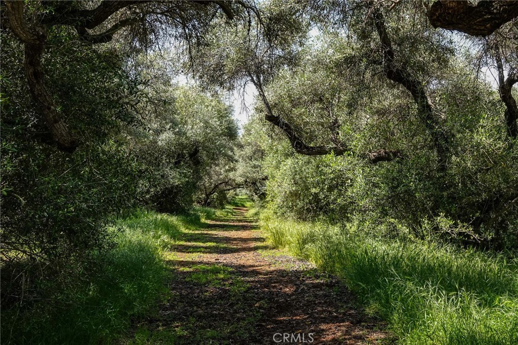 https://media.crmls.org/medias/1d55b512-a9fc-4b2d-9b8c-22c8955b09d3.jpg?preset=X-Large