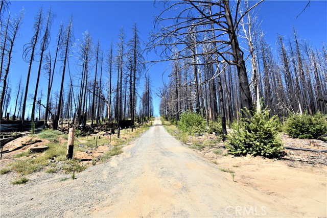 0 Bald Rock Road, Berry Creek, California 95916, ,Land,For Sale,0 Bald Rock Road,CROR22196331