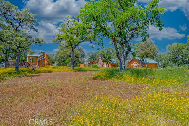 Detail Gallery Image 8 of 75 For 5873 Schilling, Coulterville,  CA 95311 - 2 Beds | 2 Baths