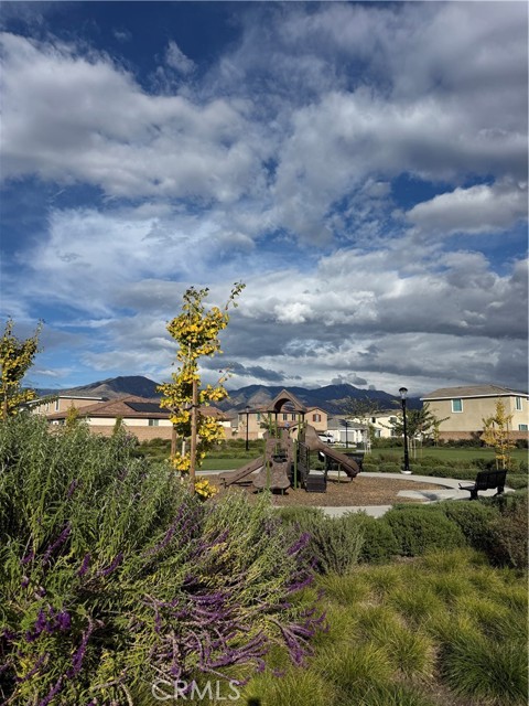 MLS #TR25265442 image #17