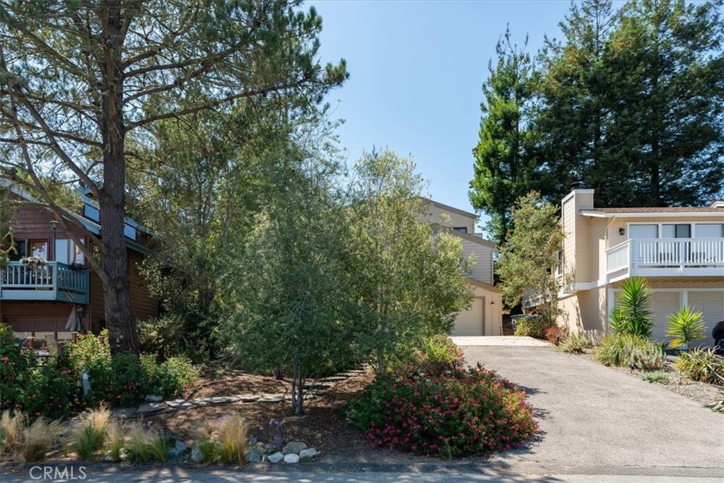 1D69D768 E122 441E Bd4D 4Cdd76B1C5D6 1550 Pineridge Drive, Cambria, Ca 93428 &Lt;Span Style='BackgroundColor:transparent;Padding:0Px;'&Gt; &Lt;Small&Gt; &Lt;I&Gt; &Lt;/I&Gt; &Lt;/Small&Gt;&Lt;/Span&Gt;