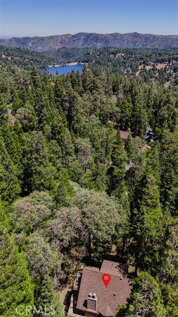 Detail Gallery Image 42 of 44 For 1213 Jungfrau Dr, Crestline,  CA 92325 - 4 Beds | 4 Baths