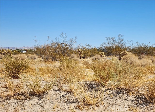 Detail Gallery Image 1 of 3 For 509 Baker Rd, Lucerne Valley,  CA 92356 - – Beds | – Baths