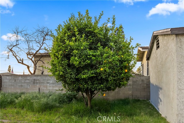 Detail Gallery Image 38 of 41 For 9417 Lomita, Rancho Cucamonga,  CA 91701 - 2 Beds | 2 Baths