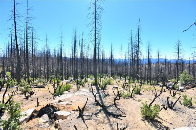 0 Bald Rock Road, Berry Creek, California 95916, ,Land,For Sale,0 Bald Rock Road,CROR22196331