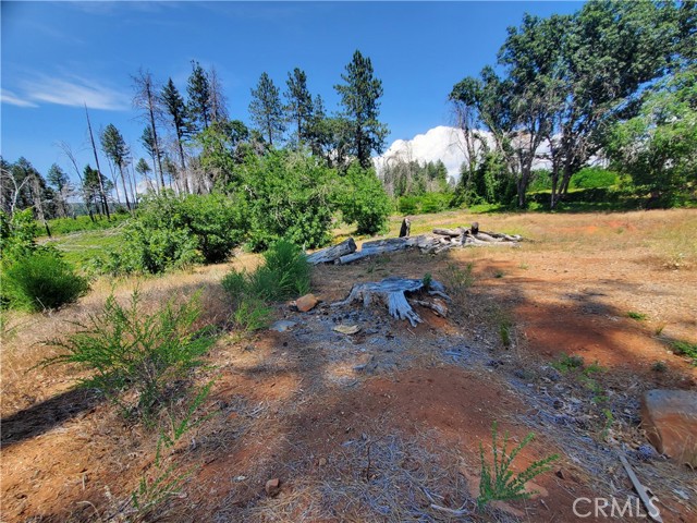 8819 Skyway, Paradise, California 95969, ,Land,For Sale,8819 Skyway,CRSN23115047