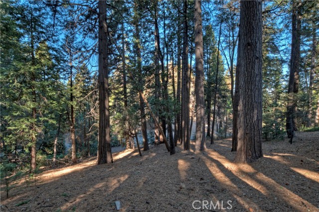 Detail Gallery Image 30 of 33 For 648 Crest Estates Dr, Lake Arrowhead,  CA 92352 - 2 Beds | 1 Baths