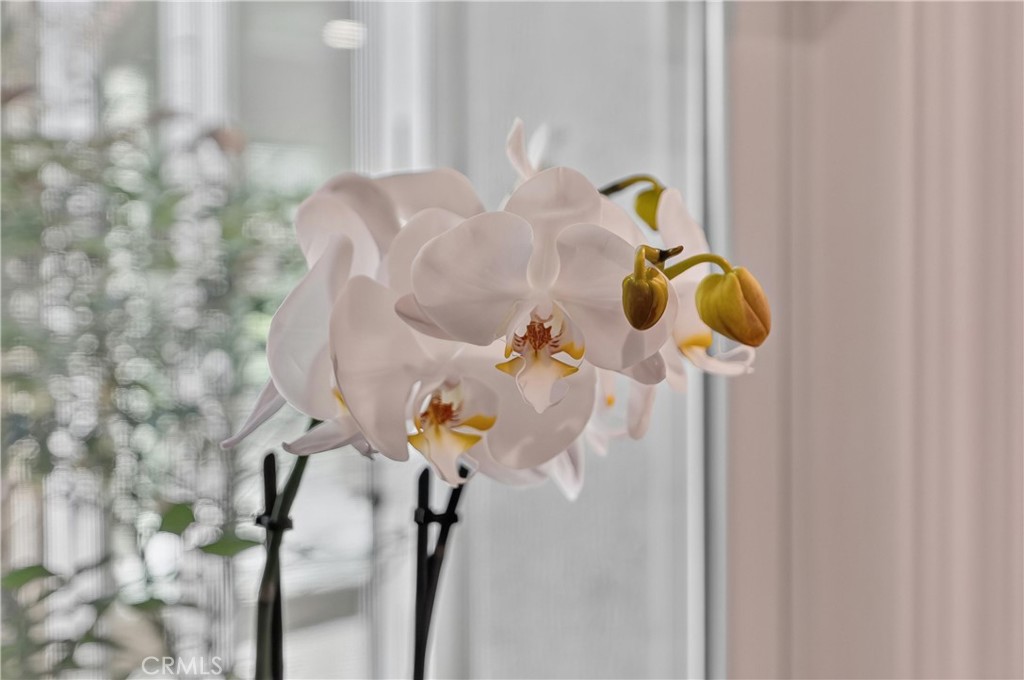 https://media.crmls.org/medias/1d7ac424-4499-4bd6-a099-90ef59fa148d.jpg?preset=X-Large