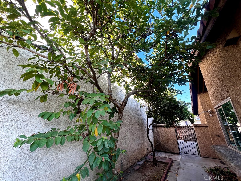 MLS #WS25255441 image #45