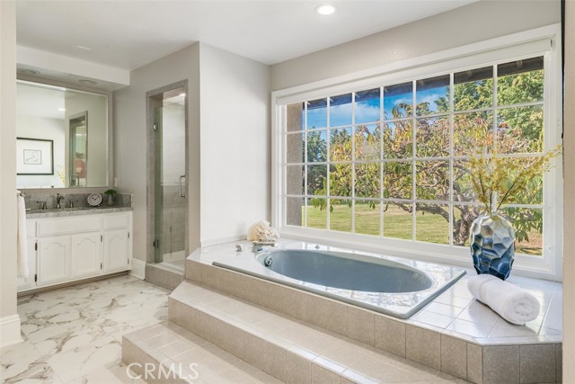 Separate shower and tub in master bathroom