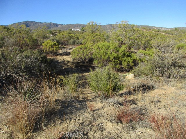 56660 Knollwood Drive