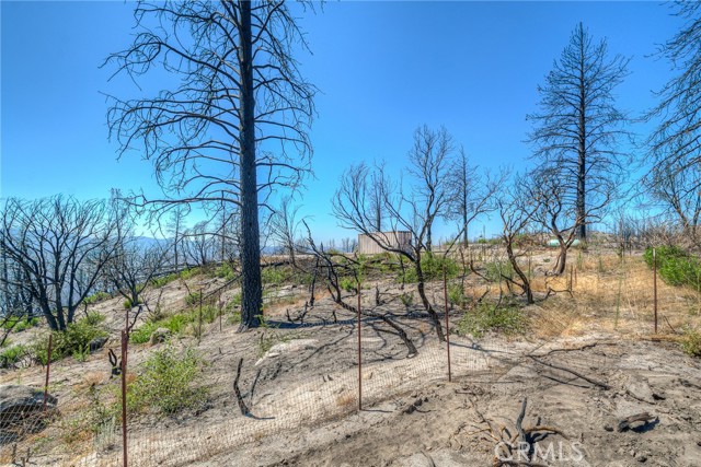 Front Image Thumbnail for CROR26059294