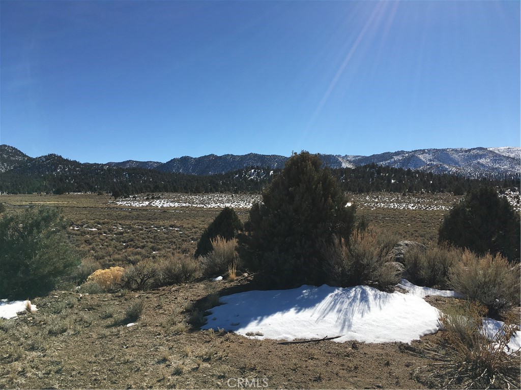 41 Sacatar Ranch Road