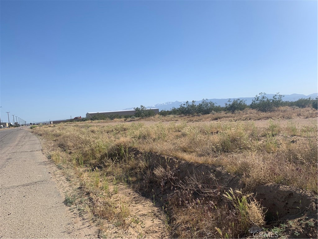 MLS #HD25220775 image #9