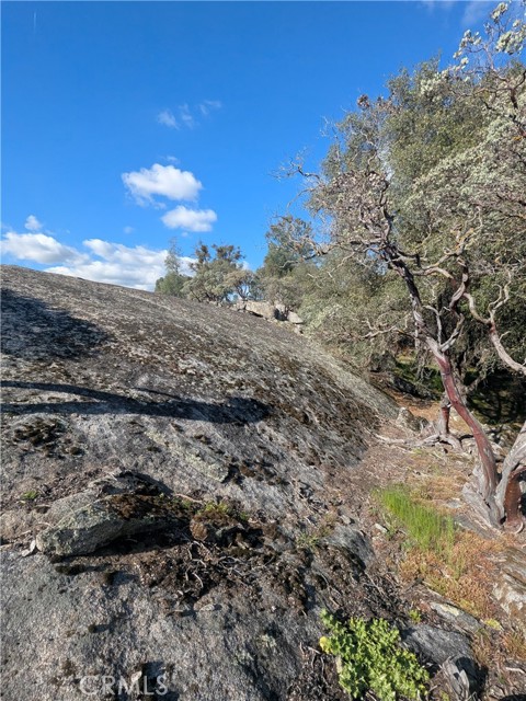 Detail Gallery Image 6 of 25 For 4181 Burl, Mariposa,  CA 95338 - – Beds | – Baths