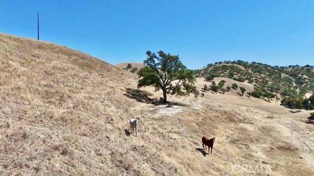 1924 Surrey Way, Paso Robles CA: https://media.crmls.org/medias/1d96178c-818f-43c6-a333-1156d37a9e85.jpg