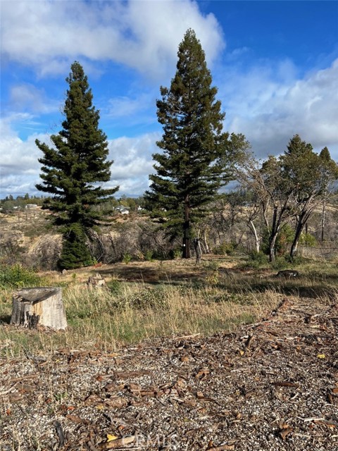 5520 Longview Drive, Paradise, CA, 95969 5520 Longview Drive, Paradise, CA, 95969