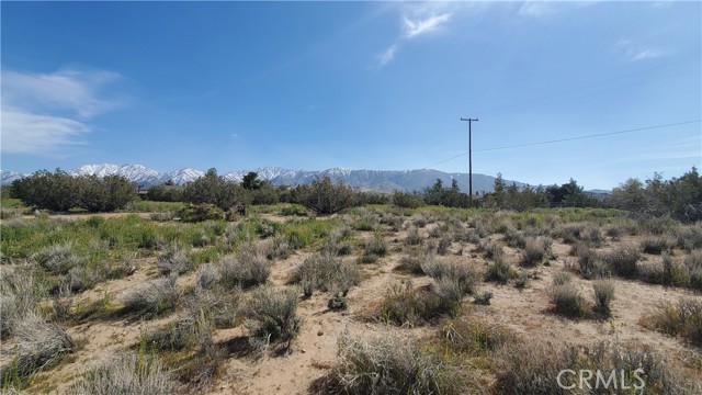 Detail Gallery Image 21 of 31 For 0 123rd St East Near Ave X8, –,  CA 93553 - – Beds | – Baths