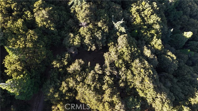 Detail Gallery Image 6 of 13 For 722 Mojave River Rd, Cedarpines Park,  CA 92322 - – Beds | – Baths