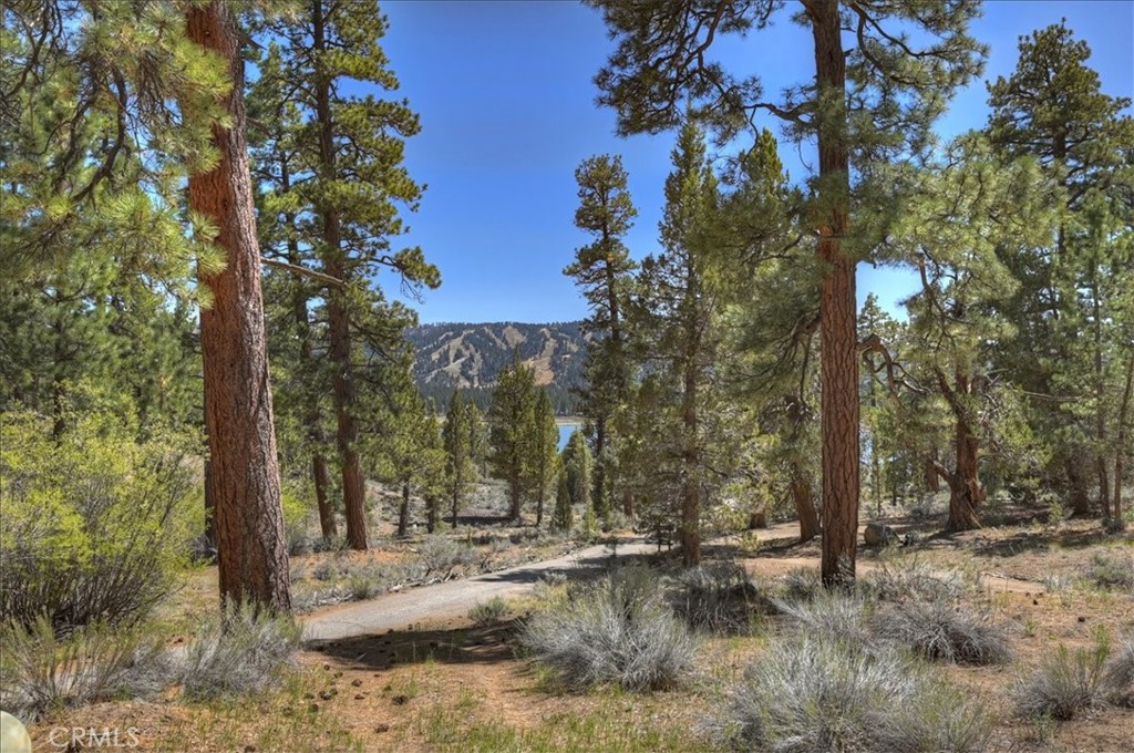 https://media.crmls.org/medias/1daacdc3-c41b-4b26-afb2-f75b74f9bdb7.jpg?preset=X-Large